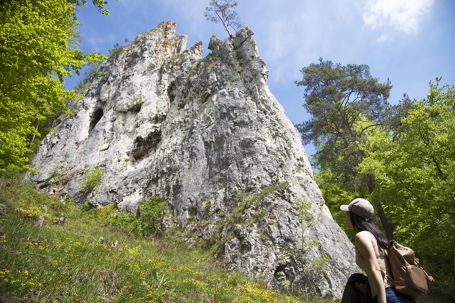 Eine Wanderin mit Rucksack und Kappe blickt auf den Geißenklösterle, umgeben von grünen Bäumen und blühender Wiese.