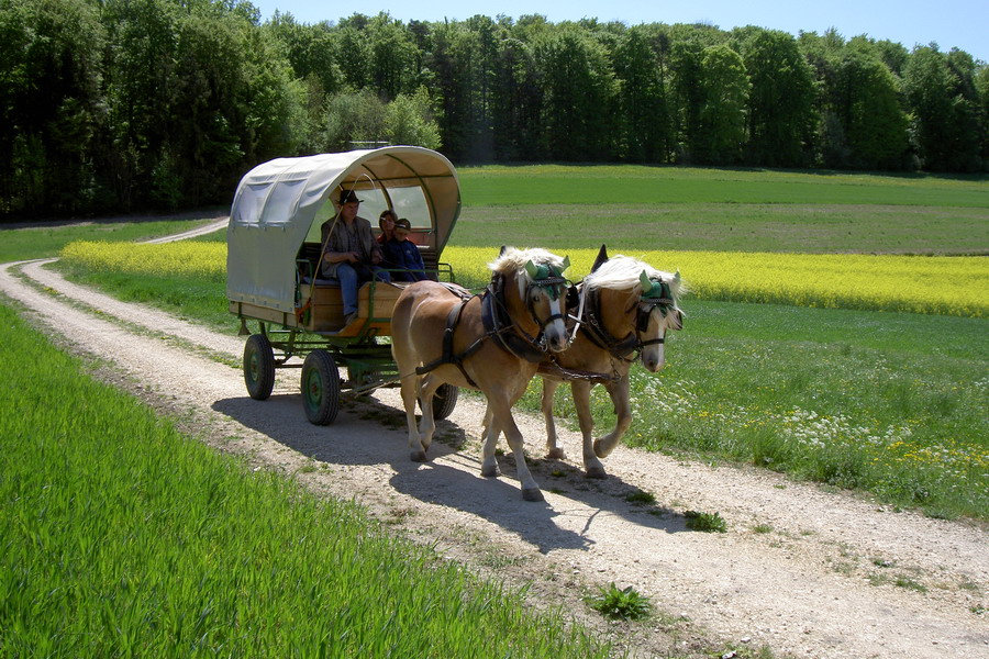 Wanderreitstation Holzmann und Kutschfahrten