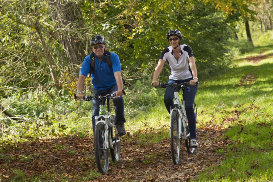 Der Herbst ist eine tolle Jahreszeit für eine Radtour auf der Schwäbischen Alb und entlang der Donau.