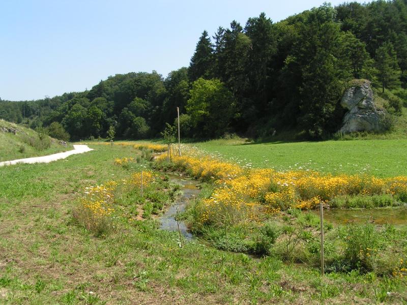 Eiszeitpfade_Ehinger HochAlb_Alb-Donau-Kreis