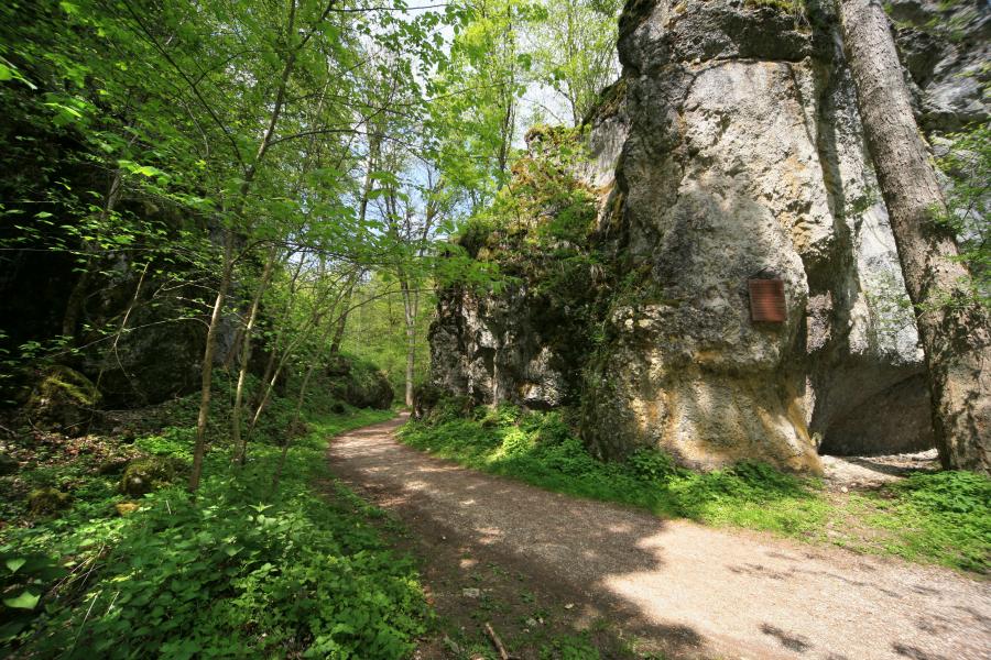 Wolfstal bei Lauterach