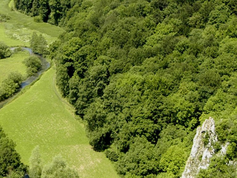 Langenau AlbDonauKreis Tourismus