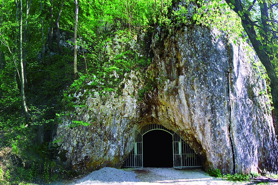 Category Featured Image
