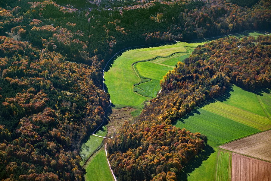 Category Featured Image