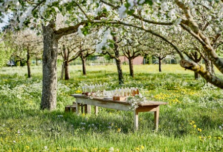 Brennerei Mayländer in Weidenstetten