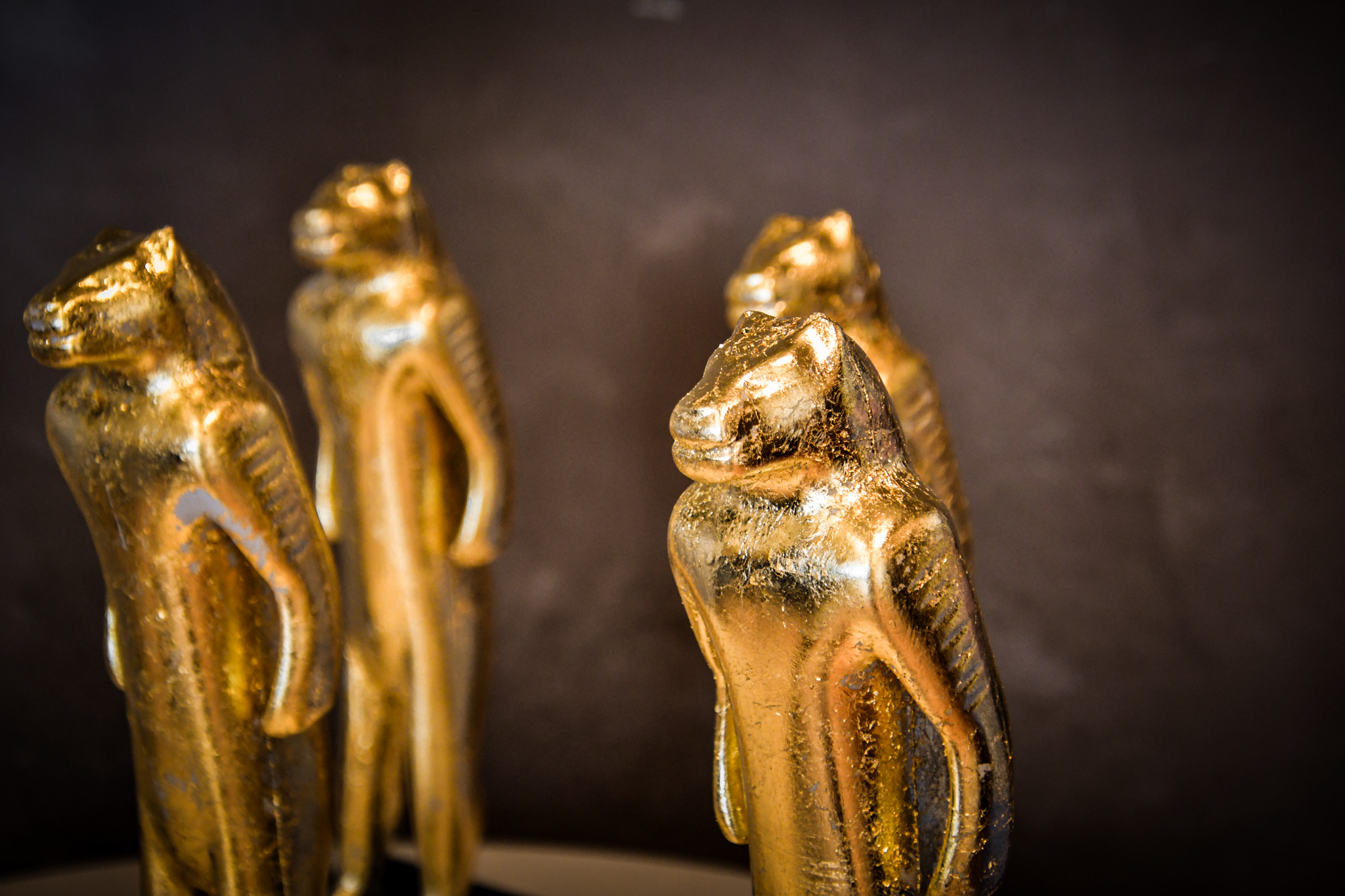 Ansicht des Löwenmensch-Award