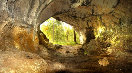 Blick aus einer Höhle auf die lichtdurchflutete Waldlandschaft. Das satte Grün der Bäume leuchtet durch den Höhleneingang und schafft einen eindrucksvollen Kontrast zu den rauen Felswänden der Höhle.