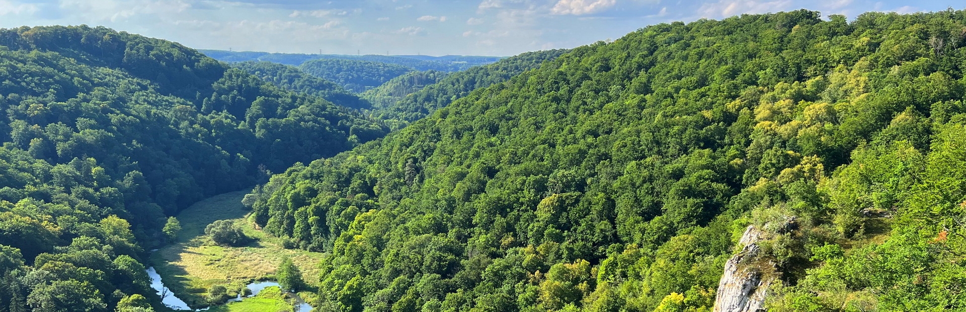 Eine imposante helle Felswand ragt steil aus einem dichten, grünen Wald empor. Der Fels ist von Bäumen umgeben, die bis zum Rand des Felsens wachsen. Rechts davon führt ein geschwungener Weg durch eine sonnige Wiesenlandschaft mit vereinzelten Bäumen und einem kleinen Fluss, der sich durch die Wiesen schlängelt. Im Hintergrund erstreckt sich ein bewaldeter Hügel unter einem blauen Himmel mit leichten Schleierwolken.