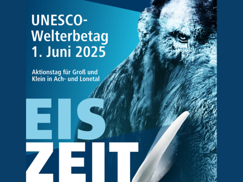 Bild1