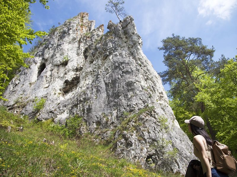 Eine Wanderin mit Rucksack und Kappe blickt auf den Geißenklösterle, umgeben von grünen Bäumen und blühender Wiese.