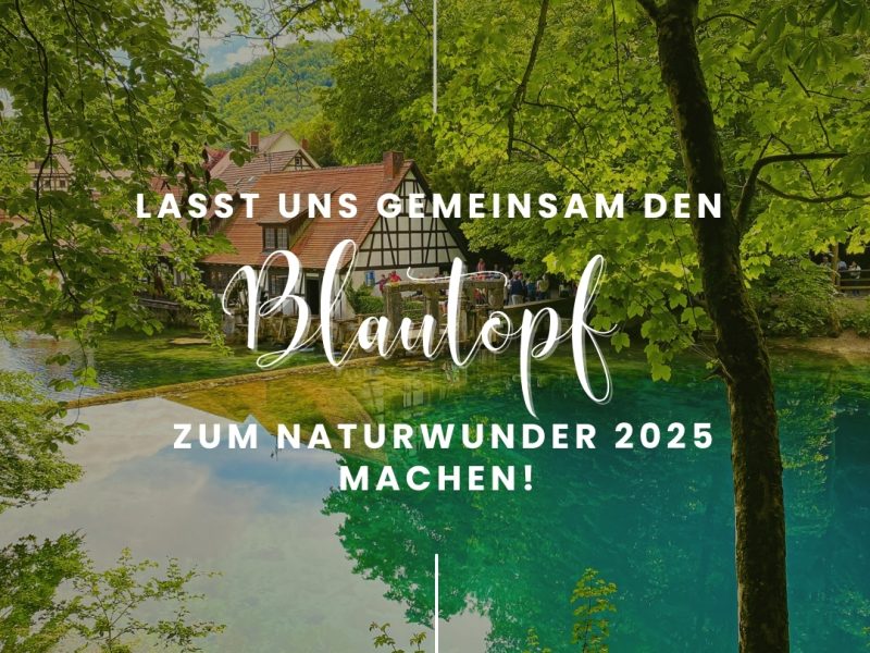 Blue Elegant Minimalist Inspirational Quote Nature Photo Instagram Post (1)