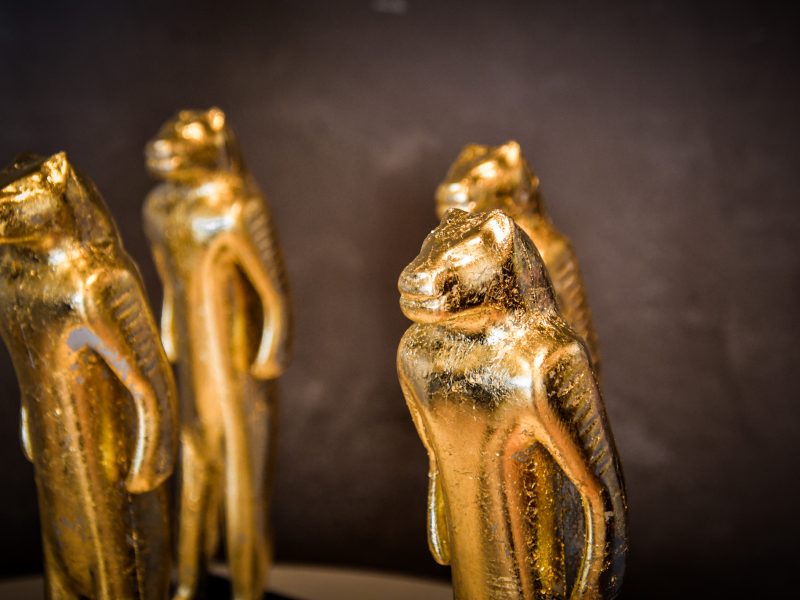 Ansicht des Löwenmensch-Award