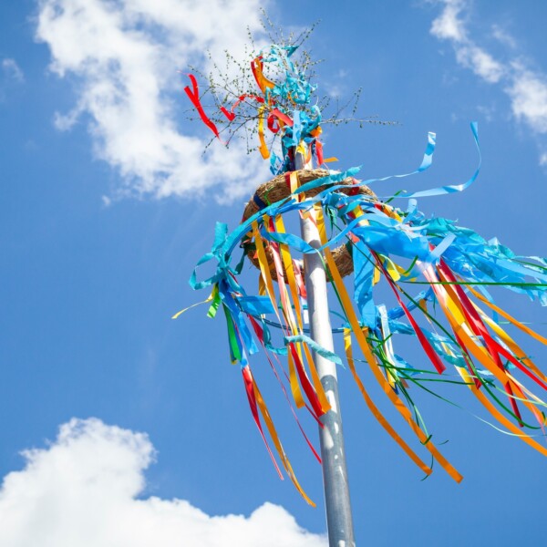 1. Mai im Alb-Donau-Kreis – Deine Ausflugstipps! 🌸Der 1. Mai 2025 lädt zu Ausflügen, Festen und besonderen Erlebnissen ein – ob mit Familie, Freunden oder solo. Von Dampfzug bis Wandertag, von Maimarkt bis Höhlenabenteuer ist alles dabei. Plane jetzt deinen Tag!
✨ Unsere Highlights für dich:
📍 Amstetten
🚂 Historische Dampfzugfahrten nach Oppingen & Gerstetten
Veranstalter: Ulmer Eisenbahnfreunde e.V.
Nostalgie pur: Gemütlich dampfend durch die Landschaft rollen.
📍 Alb-Donau-Kreis (gesamt)
🚲 Rad- & Wanderbusse
Die Rad-WanderBusse & Bahnen fahren vom 1. Mai bis 19. Oktober 2025 zu unseren Ausflugszielen.
📍 Blaubeuren
🚶♂️ Erlebniswandertag
Veranstalter: Lionsclub-Förderverein Blaubeuren-Laichingen und die Stadt Blaubeuren
Rundwanderung (8 km) mit Einblicken in das Klosterleben vor der Reformation & das evangelische Seminar.
📍 Lonsee
🛍️ Maimarkt in der Ortsmitte
Veranstalter: Gemeinde Lonsee
Regional einkaufen, Musik hören, Leute treffen – ein lebendiger Markt im Herzen der Gemeinde.
📍 Schelklingen
🦴 Saisoneröffnung am Hohle Fels
Veranstalter: Stadt Schelklingen
Saisoneröffnung mit stündlichen Fackelführungen im Hohle Fels
📍 Rammingen
🍻 Maifest (30.04.–04.05.)
Veranstalter: Vereinsgemeinschaft Rammingen
Stimmungsvolles Fest mit täglichem Programm – von Livemusik bis zünftiger Bewirtung.
📍 Schauhöhlen im Alb-Donau-Kreis
🦇 Jetzt wieder zugänglich!
Nach der Winterpause zum Schutz der Fledermäuse kannst du die faszinierenden Höhlen nun wieder besuchen.
🟡 Weitere Veranstaltungen findest du in unseren Highlights!
1Mai AlbDonauErleben Feiertagsideen Ausflugstipps Wandern Dampfzug Maimarkt Schauhöhlen HohleFels Heimatliebe Fledermausschutz Frühlingsfest meinalbdonaukreis albdonaukreistourismus albdonau albdonaukreis albzeit schwaebischealb schwäbischealb schwabenland schwabenländle theland visitbawu visitgermany